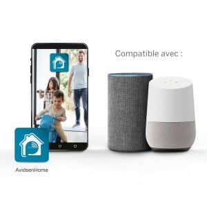 HomeCam Battery Avidsen compatibilité assistants vocaux