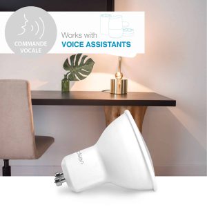 Compatibilité assistants vocaux 127014